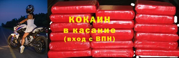 гидра Арсеньев