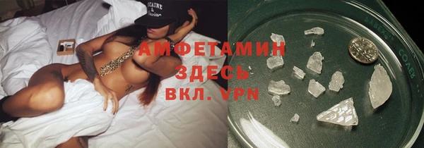 гидра Арсеньев