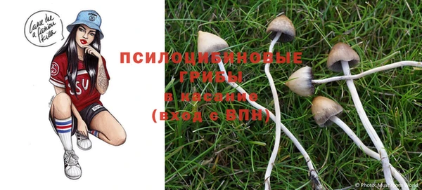 мескалин Армянск