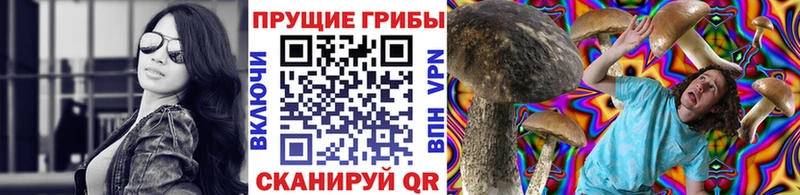 Галлюциногенные грибы прущие грибы  где купить наркотик  ОМГ ОМГ как зайти  Нижний Ломов 